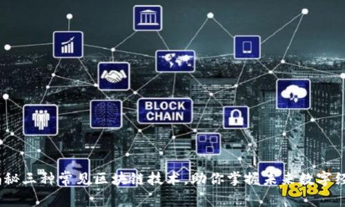 :揭秘三种常见区块链技术，助你掌握未来数字经济