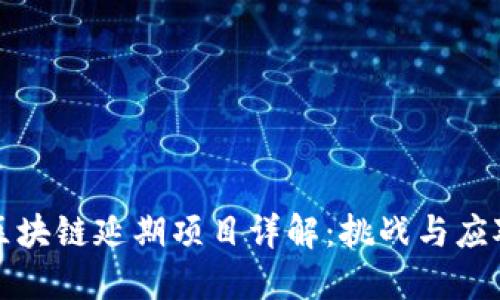 区块链延期项目详解：挑战与应对