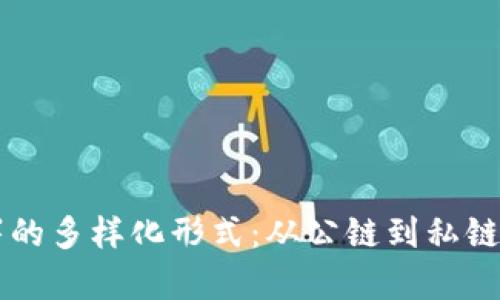 区块链部署的多样化形式：从公链到私链的全面解析
