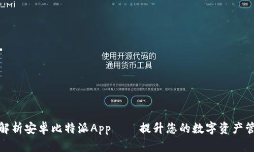 全方位解析安卓比特派App——提升您的数字资产管理体验