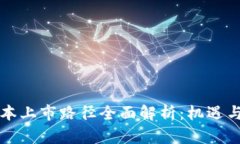 区块链资本上市路径全面