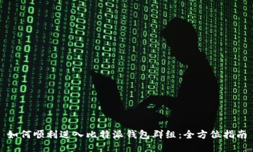 如何顺利进入比特派钱包群组：全方位指南