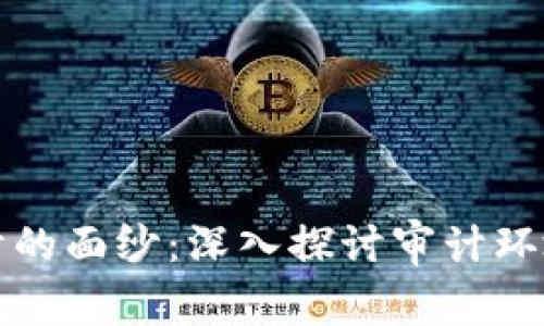 揭开区块链审计的面纱：深入探讨审计环境的构建与挑战