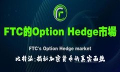 比特派：揭秘加密货币的